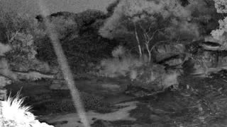 Still 2 from this detection
