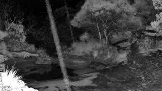 Still 3 from this detection