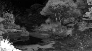 Still 3 from this detection