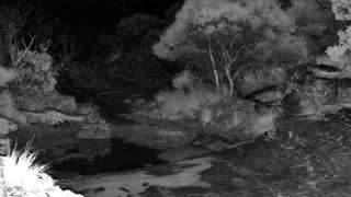 Still 2 from this detection