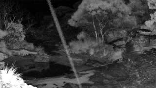 Still 3 from this detection