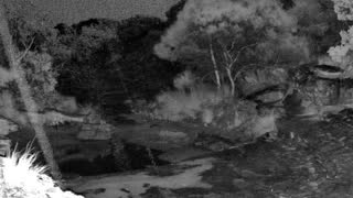 Still 3 from this detection