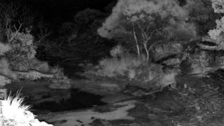 Still 3 from this detection