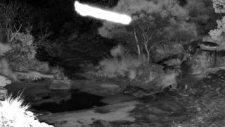 Still 2 from this detection