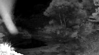 Still 2 from this detection