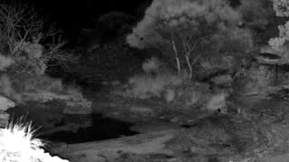 Still 3 from this detection