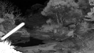 Still 3 from this detection