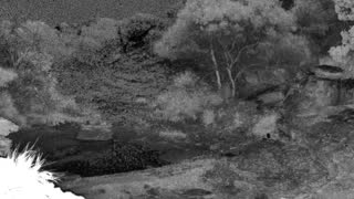 Still 2 from this detection