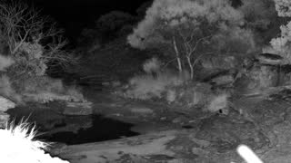 Still 1 from this detection
