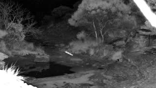 Still 2 from this detection