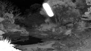 Still 1 from this detection