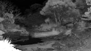 Still 2 from this detection