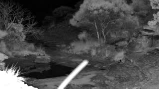 Still 1 from this detection