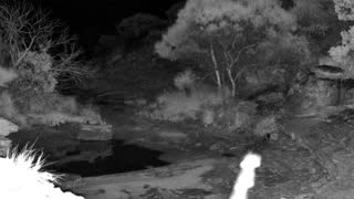 Still 1 from this detection