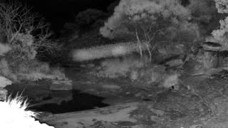 Still 1 from this detection