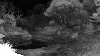 Still 1 from this detection