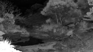 Still 2 from this detection