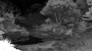 Still 3 from this detection