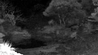Still 1 from this detection