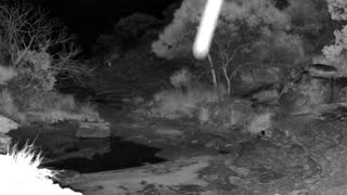 Still 1 from this detection