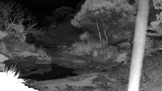Still 1 from this detection