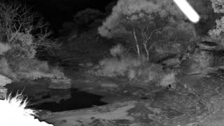 Still 2 from this detection