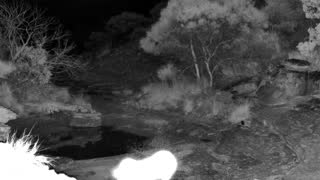 Still 1 from this detection