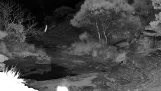 Still 1 from this detection
