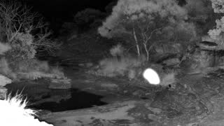 Still 1 from this detection