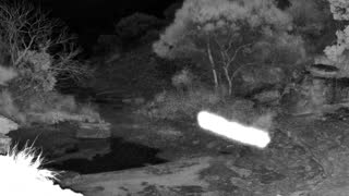 Still 2 from this detection