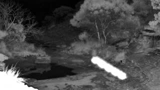 Still 2 from this detection