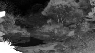 Still 1 from this detection