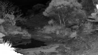 Still 1 from this detection