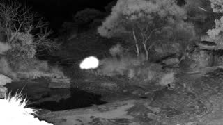 Still 1 from this detection