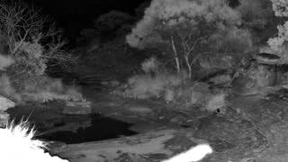 Still 2 from this detection
