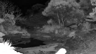 Still 2 from this detection