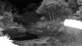 Still 2 from this detection