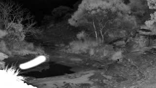 Still 2 from this detection
