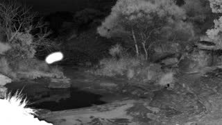 Still 2 from this detection