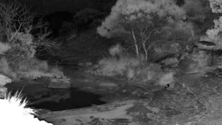 Still 3 from this detection