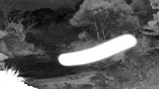 Still 2 from this detection