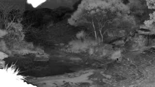 Still 1 from this detection