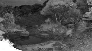 Still 2 from this detection