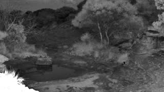 Still 3 from this detection
