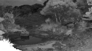 Still 2 from this detection