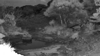 Still 3 from this detection