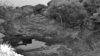 Still 2 from this detection