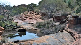 Still 2 from this detection