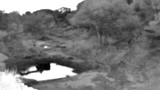 Still 1 from this detection