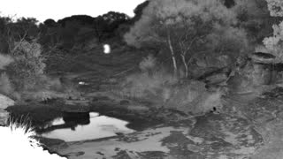 Still 1 from this detection